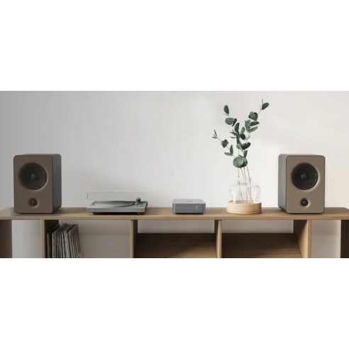 WiiM Amp - Ampli Stéréo & Réseau 2x 60W RMS - Gray ou Silver