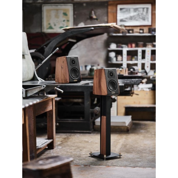 Sonus Faber Concertino Stand - Pieds d'Enceintes pour Concertino G4 - Noir / Noyer Massif