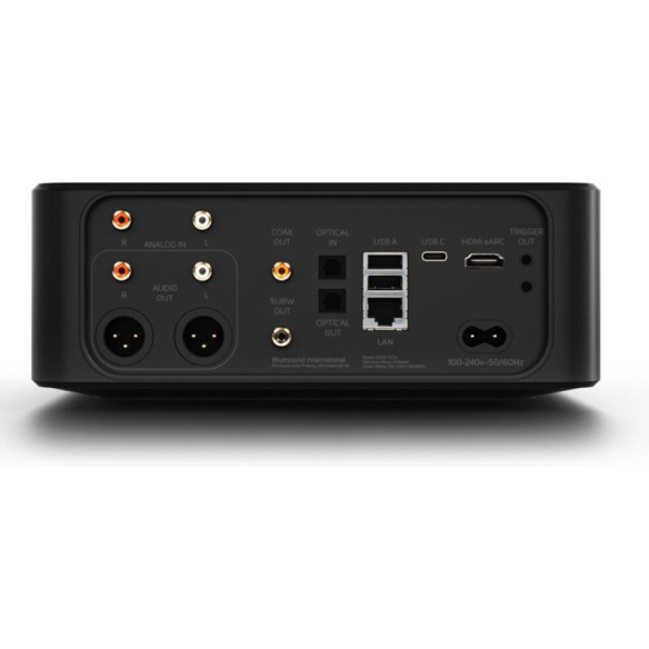 BlueSound NODE ICON - Lecteur Réseau avec Écran Tactile - Noir