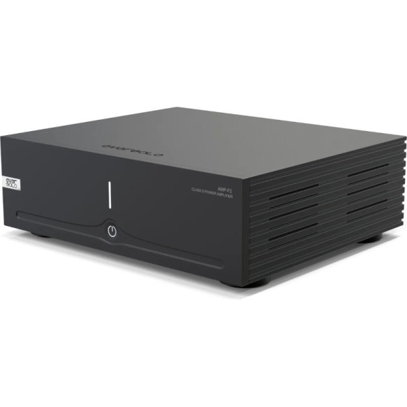 EverSolo AMP-F2 - Bloc de Puissance 2x 145W - Noir