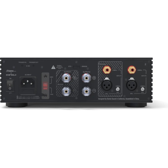 EverSolo AMP-F2 - Bloc de Puissance 2x 145W - Noir