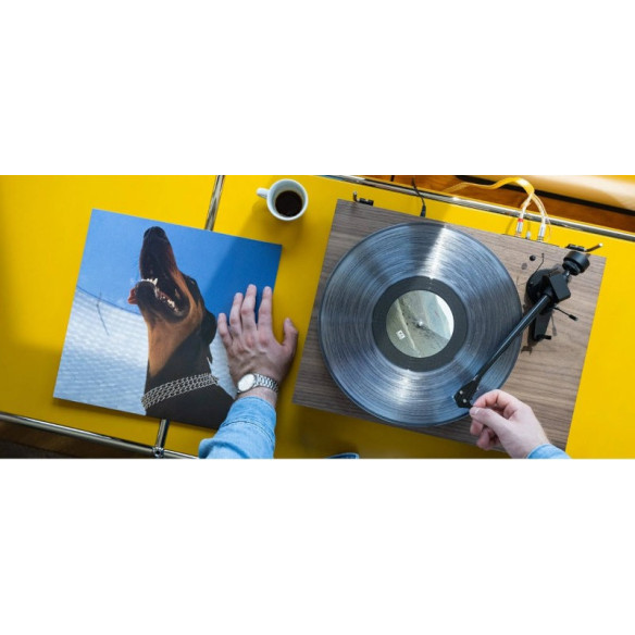 Pro-Ject Debut Carbon EVO 2 - Platine Vinyle - 10 Finitions !