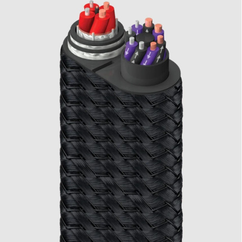 AudioQuest Dragon Bass - Câble d'Enceintes Montés - Noir