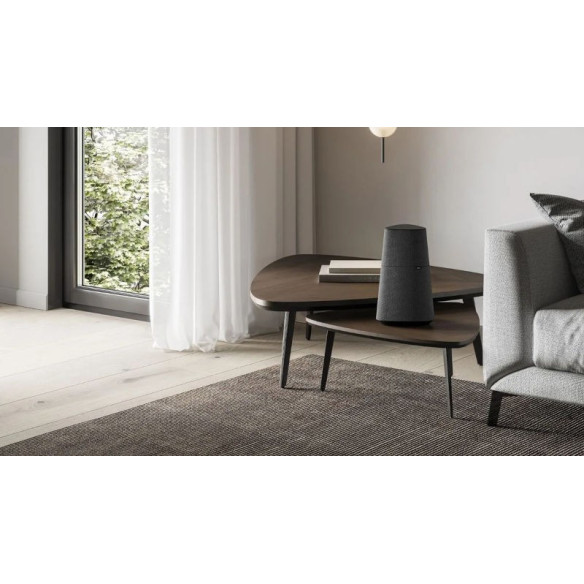 Loewe Klang Mr 3 - Enceinte Connectée - Noir