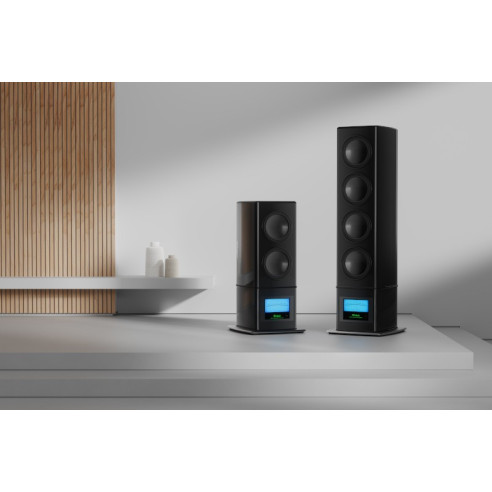 McIntosh PS1K - Caisson de Basses 2x HP de 33cm - Piano Noir