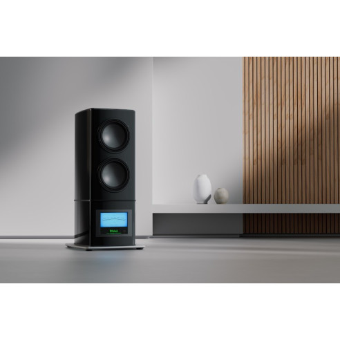 McIntosh PS1K - Caisson de Basses 2x HP de 33cm - Piano Noir