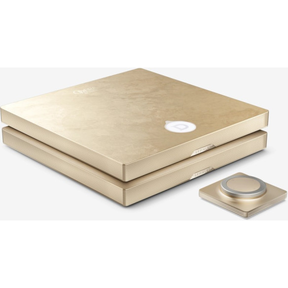 Devialet Astra Dual Opéra de Paris - Ampli Stéréo Réseau 2x150W RMS - Feuille d'Or