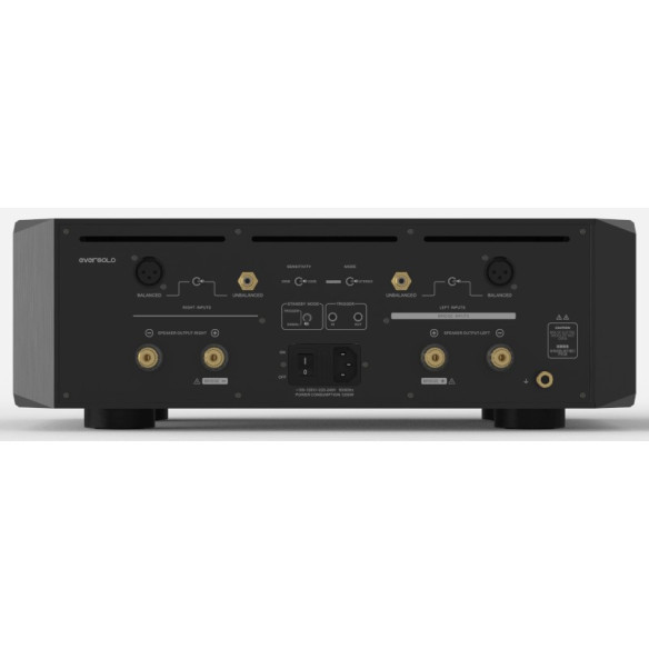 EverSolo AMP-F10 - Bloc de Puissance 2x 200W - Noir