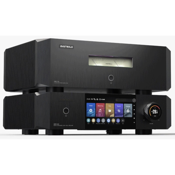 EverSolo AMP-F10 - Bloc de Puissance 2x 200W - Noir
