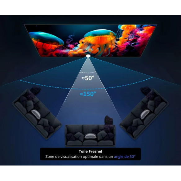 Lumene Movie Palace Fresnel Ultra Slim UST 240C - Écran de Projection Fixe ALR à bord Slim