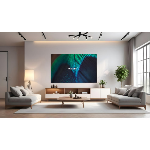 Lumene Movie Palace Fresnel Ultra Slim UST 240C - Écran de Projection Fixe ALR à bord Slim