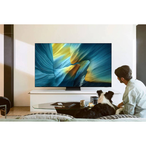 Samsung TQ77S95F - TV OLED 4K 77" HDMI 2.1 165Hz