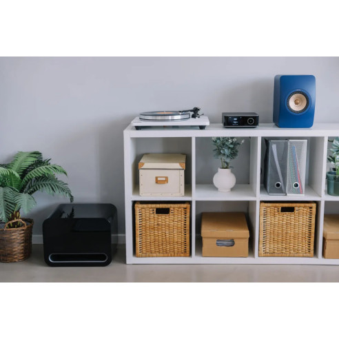 Wiim Amp Ultra - Ampli Streamer Stéréo 2x 60W RMS - Space Grey