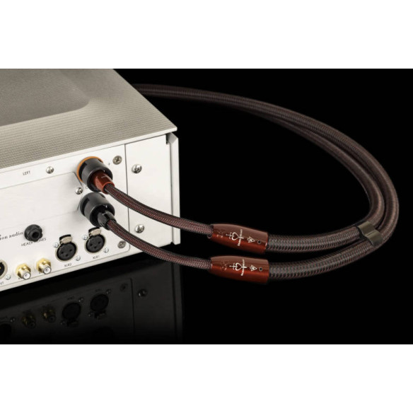 AudioQuest Brave Heart - Câbles Enceintes Montées avec DBS 72V - 2m / 2,5m / 3m et plus