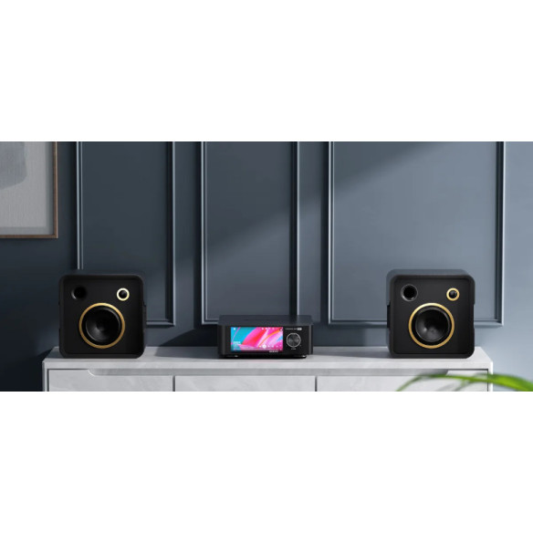 EverSolo Play - Ampli Stéréo Streamer Roon Ready & DAC 2x60 W - Noir