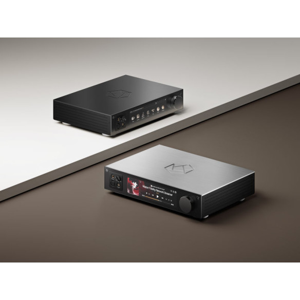 ROSE RS451 - Streamer & Ampli Casque - Noir ou Silver