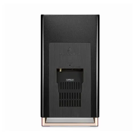 Triangle Capella 2 - Enceintes Bibliothèques connectées 2x 100W