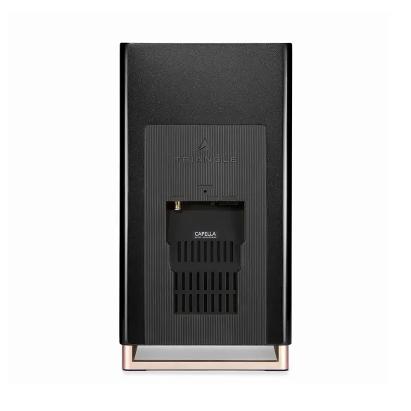 Triangle Capella 2 - Enceintes Bibliothèques connectées 2x 100W