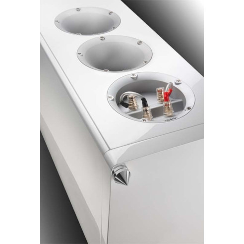 Magnat Quantum 1009S - Enceintes colonnes haut de gamme Blanc ou Noir