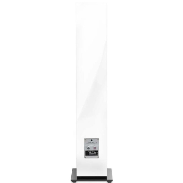 Triangle Esprit Gaïa EZ - Enceintes Colonnes - Laqué Noir, Blanc, Noyer ou Bois Noir