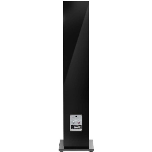 Triangle Esprit Gaïa EZ - Enceintes Colonnes - Laqué Noir, Blanc, Noyer ou Bois Noir