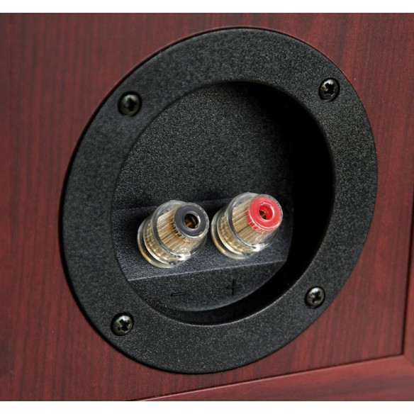 Dynaudio DM 2/6 - Enceintes Bibliothèques - Black Ash ou Rosewood
