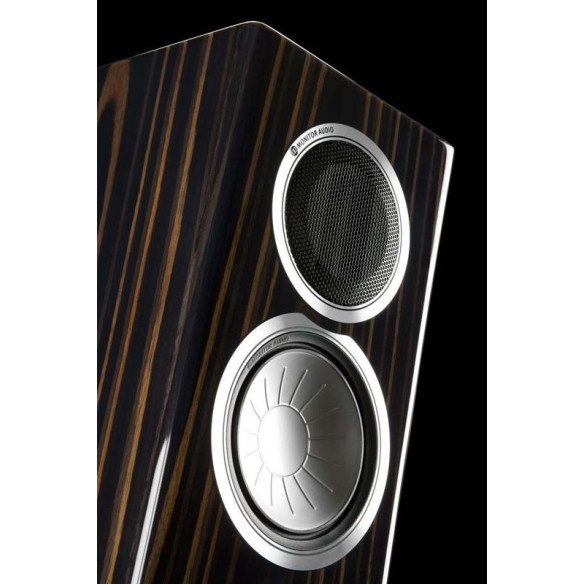 Monitor Audio GX300 - Enceintes Colonnes - Noir Laqué, Blanc Laqué, Dark Walnut, Bubinga ou Ebony