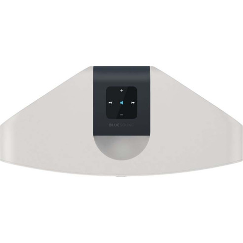 Bluesound Pulse 2 - Enceinte Sans Fil - Noir ou Blanc