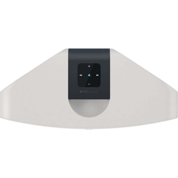 Bluesound Pulse 2 - Enceinte Sans Fil - Noir ou Blanc