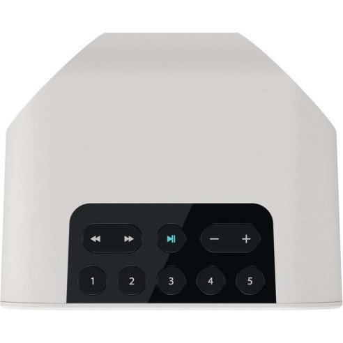 Bluesound Pulse Flex - Enceinte Sans Fil Compacte - Noir ou Blanc