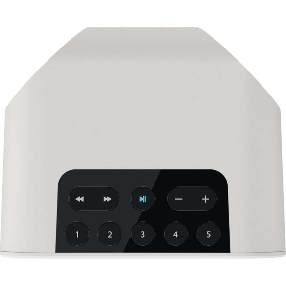 Bluesound Pulse Flex - Enceinte Sans Fil Compacte - Noir ou Blanc